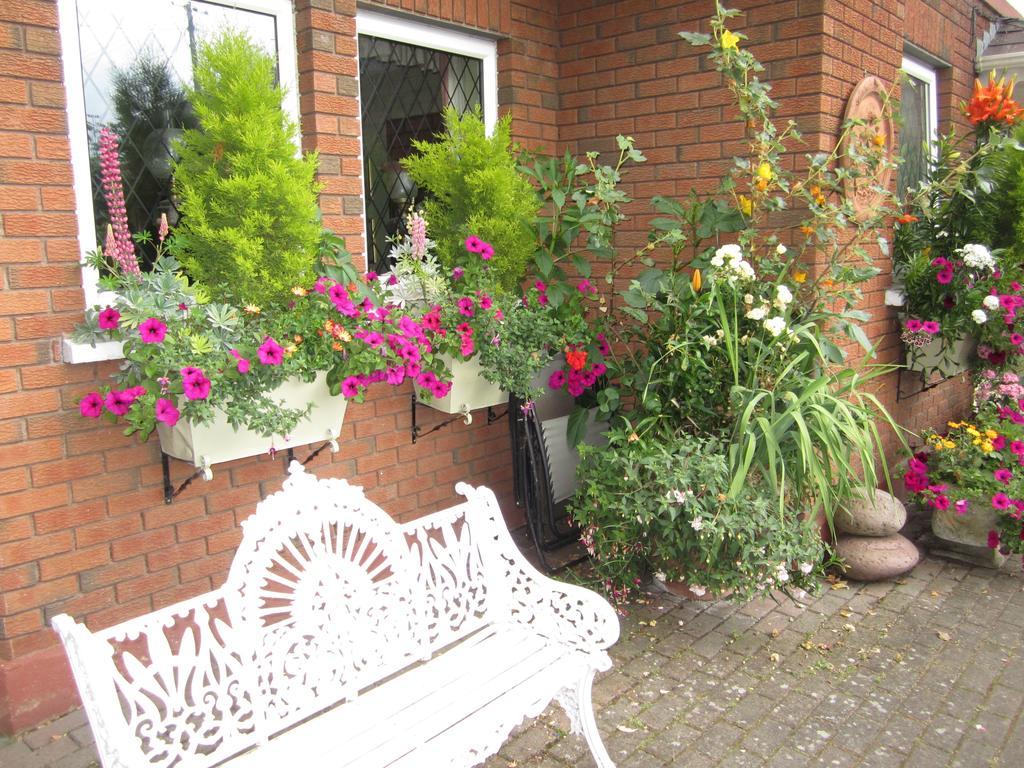 Killyon Guest House Navan Zewnętrze zdjęcie